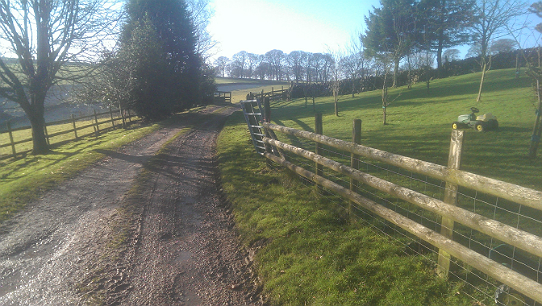 The approach to Air Cottage, Ilam, December 2016