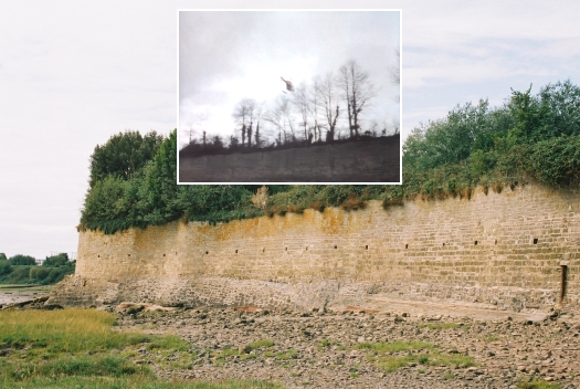 The brick wall at the edge of the estuary at Black Rock which Greg's helicopter flies above