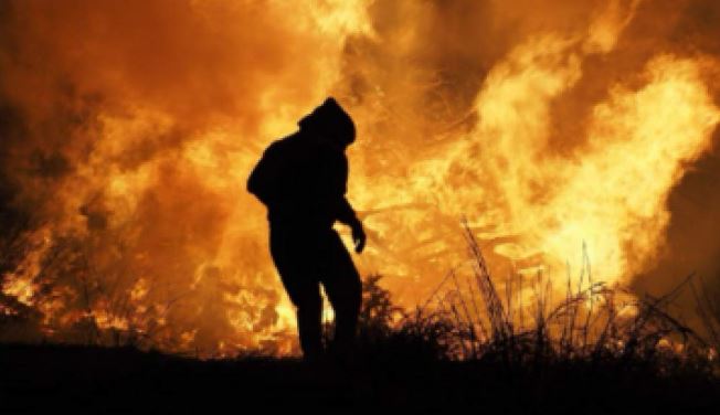 Detail from the front cover of Survivors: Salvation by John Eyers