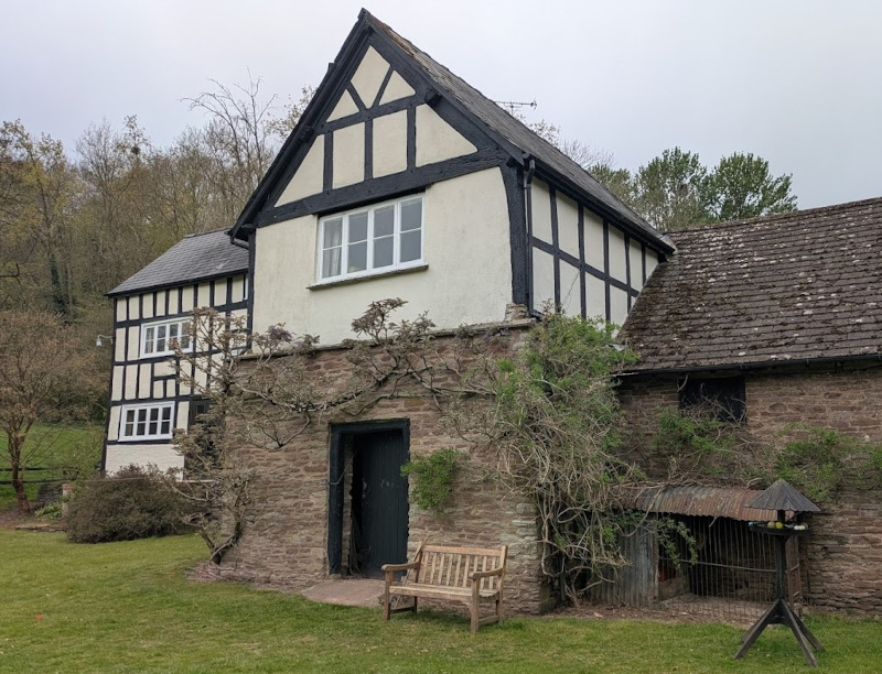 You want some fish, do you?